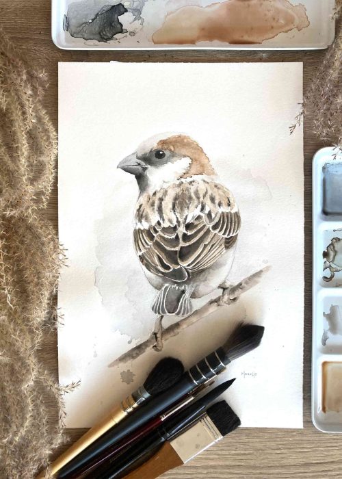 web-7_Wrobel-zwyczajny-(Passer-domesticus)_1_marta-borowczyk